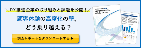 DX調査レポート2025別冊のバナー
