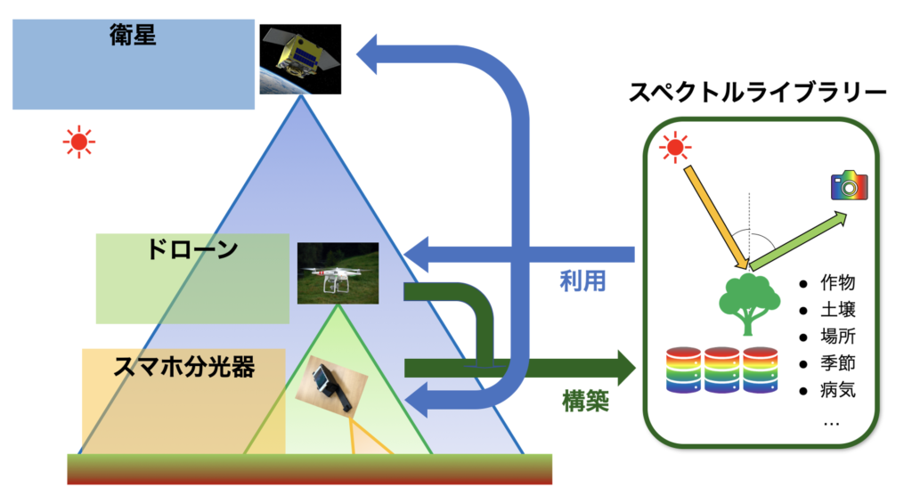 データベース=スペクトルライブラリの構築図